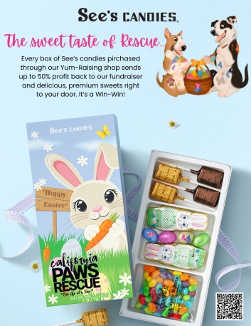 California Paws Rescue & See's Candies Fundraiser